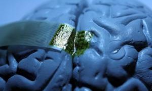 2010-04-18t171306z_1555784139_gm1e64j03ce01_rtrmadp_3_brain_4ab3a884a9